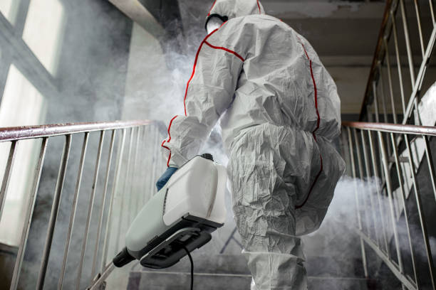 Asbestos and Lead Testing During Mold Inspection in Taylors, SC